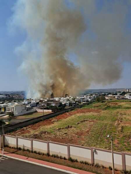 Incêndio atinge mata na Ampelio Gazetta, em Nova Odessa incendio-atinge-mata-na-ampelio-gazetta,-em-nova-odessa