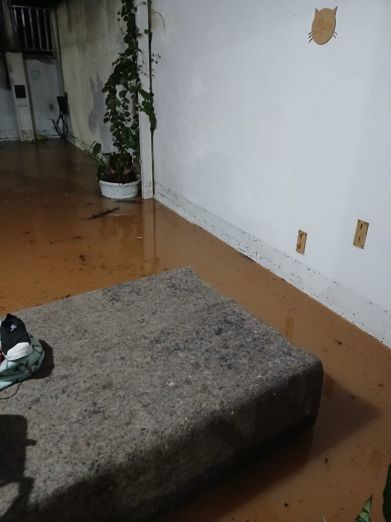 Chuva em Nova Odessa deixa casas e ruas alagadas em, ao menos, oito bairros chuva-em-nova-odessa-deixa-casas-e-ruas-alagadas-em,-ao-menos,-oito-bairros