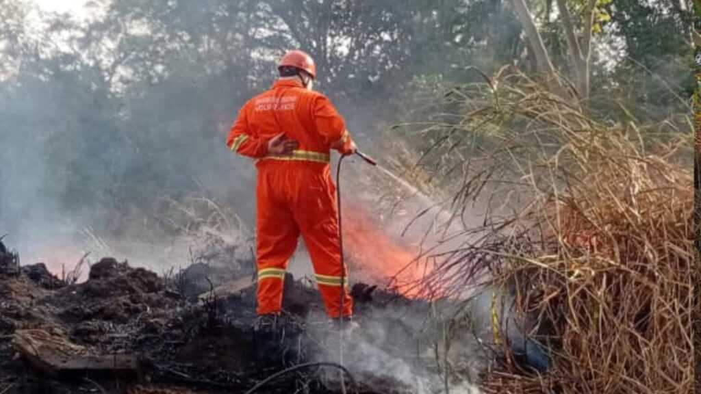 defesa-civil-e-voluntarios-de-nova-odessa-combatem-queimada-em-area-verde-da-fazenda-velha