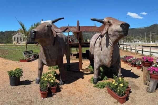 sc:-cidade-com-4-mil-habitantes-pode-entrar-no-guinness-book.-entenda