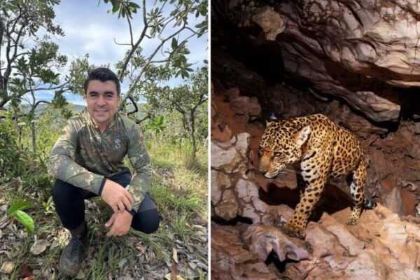 Médico troca jaleco por trilhas para mapear onças no Cerrado goiano medico-troca-jaleco-por-trilhas-para-mapear-oncas-no-cerrado-goiano
